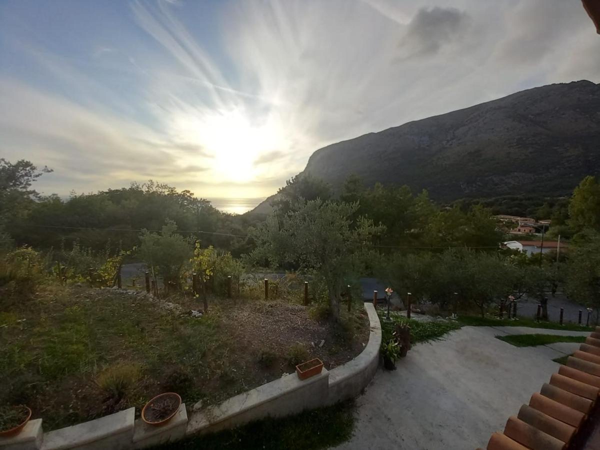 Da Maria Teresa - Bed & Breakfast Maratea