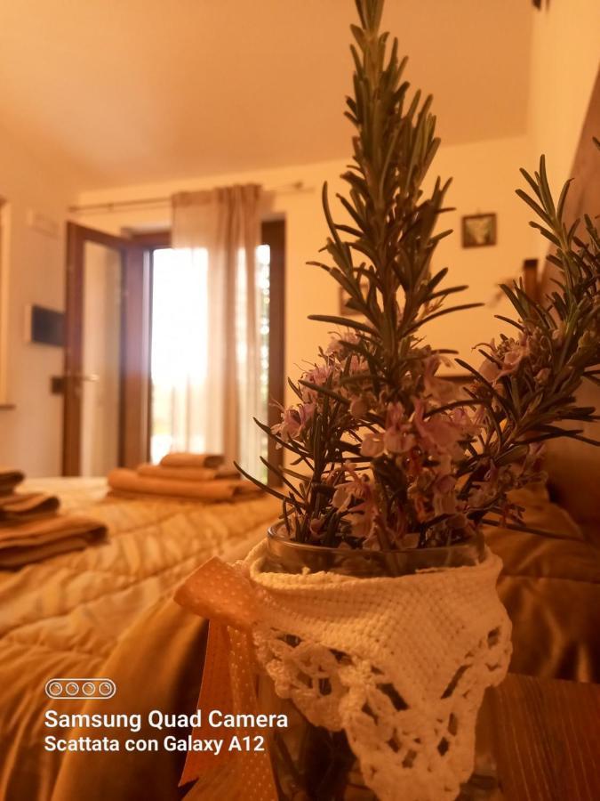 Bed & Breakfast Da Maria Teresa - Maratea