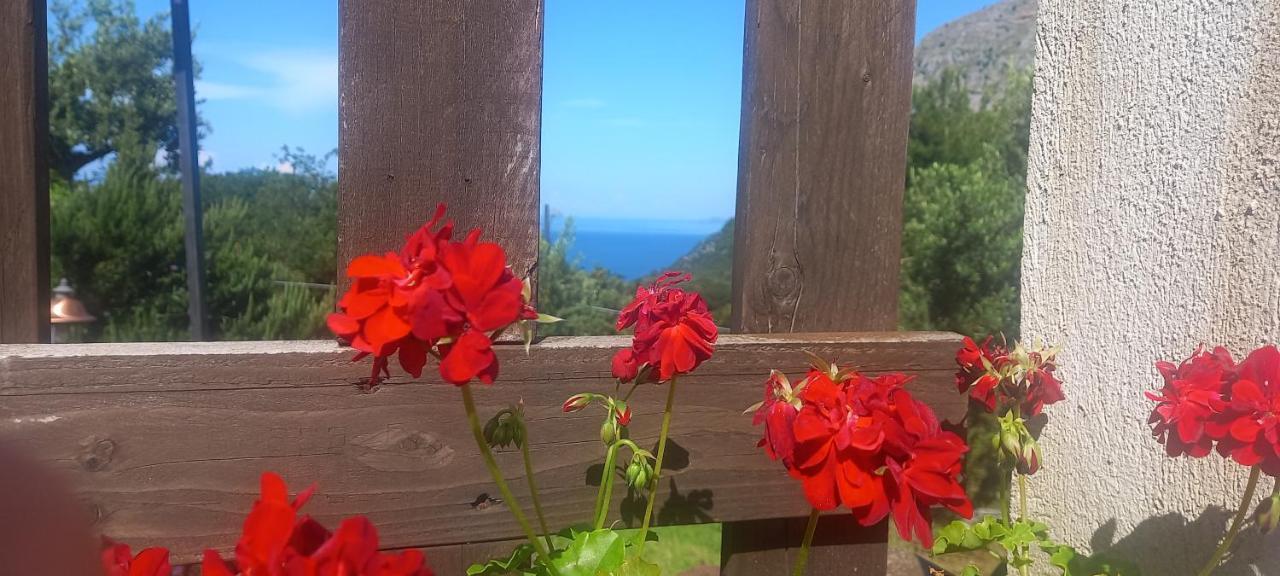Da Maria Teresa - Bed & Breakfast Maratea
